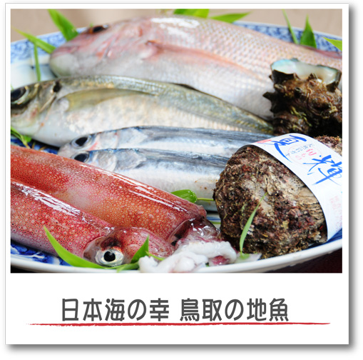 鳥取の地魚メインイメージ